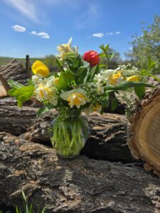 Spring Arrangement of daffodils and tulips.